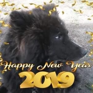 Meet your Posher, Ann